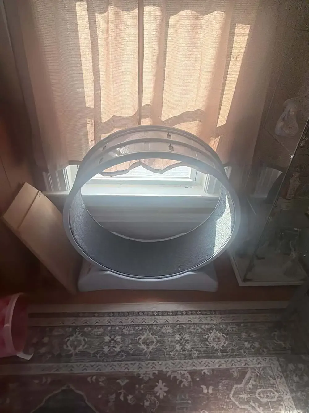 One Fast Cat Exercise Wheel for Indoor Cats